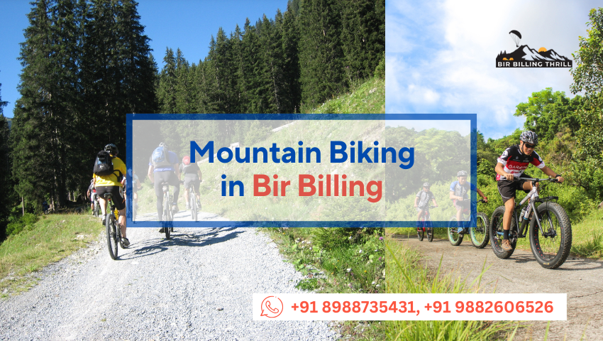 Mountain Biking in Bir Billing